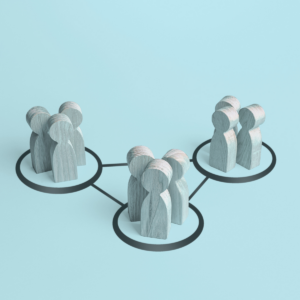 Advisory practice systems and capacity management in South Africa